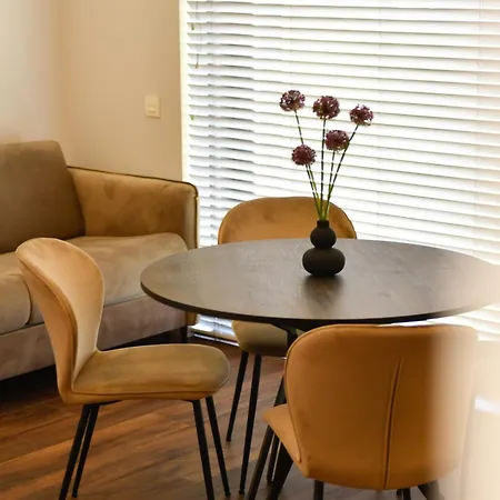 Apartment Vida